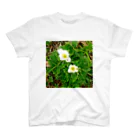 asako=niagaraの植物図鑑 ハクサンイチゲ スタンダードTシャツ