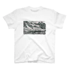 mountain_bookcaseのmountain bookcase  スタンダードTシャツ