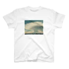 白身魚のフライのかなとこ雲 スタンダードTシャツ