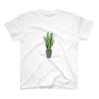 Narcissusのサンスベリア スタンダードTシャツ