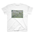 砂ずりの雨と白い紫陽花 Regular Fit T-Shirt