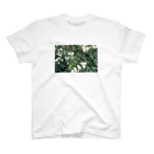 Gute Kleidungのdaisy スタンダードTシャツ