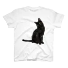 猫とやっし～ぃのアレコレのん？黒猫ですが何か？ Regular Fit T-Shirt