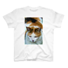 猫写真家「むに」のアトリエの三毛猫どーん Regular Fit T-Shirt