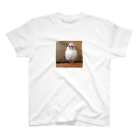 白文鳥のおもちさんの白文鳥のおもちさん Regular Fit T-Shirt