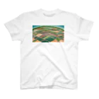 ガジュマルの箱のサトウキビ畑•沖縄（Sugarcane fields In Okinawa） スタンダードTシャツ