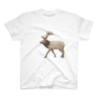 Masashi Kaminkoの切なRendeer スタンダードTシャツ