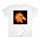 FUJIOKA FACTORYのfire_lion スタンダードTシャツ