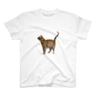 ナカムラショップのひとんちの猫Tシャツ（横） スタンダードTシャツ