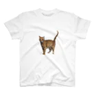 ナカムラショップのひとんちの猫Tシャツ（正面） スタンダードTシャツ