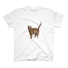 ナカムラショップのひとんちの猫Tシャツ（正面） Regular Fit T-Shirt