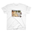 rowdonのneko no hirune Regular Fit T-Shirt