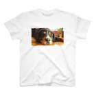 Colomocooo!!のBernese Mountain Dog 1 スタンダードTシャツ