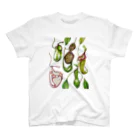 uovo  ウーヴォのuovo 食虫植物がら スタンダードTシャツ