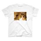little CATSの猫ちゃん スタンダードTシャツ