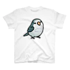 Cody the LovebirdのChubby Bird オキナインコ スタンダードTシャツ