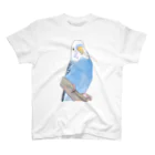 まめるりはことりのセキセイインコちゃんと止まり木【まめるりはことり】 スタンダードTシャツ