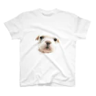 marucreateのフレンチブルドッグA　子犬 スタンダードTシャツ