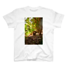 猫写真家「むに」のアトリエの森ねこ スタンダードTシャツ