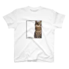 meow.の猫のちぃちゃん。(おすましver.) スタンダードTシャツ