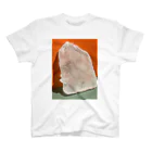 氷屋さんのオレンジと緑と氷 Regular Fit T-Shirt