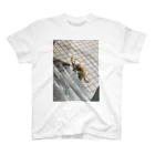 charlie_dogの玄関先の知らん猫 Regular Fit T-Shirt