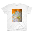 hirokoの蓮ーpadomeーsun color Regular Fit T-Shirt