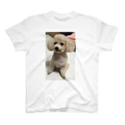 NogizakaのDog プードル スタンダードTシャツ