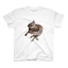 猫雑貨さんちこのﾌﾟﾘﾘﾘﾘﾘﾘﾘﾘﾘ スタンダードTシャツ