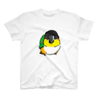 inkono shimobeのまんまるズグロシロハラインコ スタンダードTシャツ