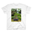 Wotikotiの盆栽 スタンダードTシャツ