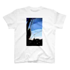 vengの冬の空#1 スタンダードTシャツ