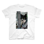 シッポ追いの猫写真店の張り込み スタンダードTシャツ