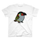 Cody the LovebirdのChubby Bird ニショクコチュウハシ Regular Fit T-Shirt