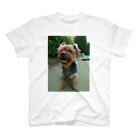 ミステリーキャラクターズのたれみみヨーキー犬 スタンダードTシャツ