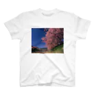 landscapeの早咲きの桜 スタンダードTシャツ