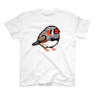 Cody the LovebirdのChubby Bird キンカチョウ Regular Fit T-Shirt