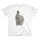 いきもの大好き！ほほえみフレンズのもっと遊びたいウサギさん Regular Fit T-Shirt