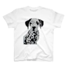 Dalmatian DreamのDalmatian dream スタンダードTシャツ