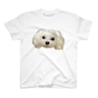 MaisonDeMalteseのMaltese Face スタンダードTシャツ