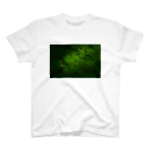 ak296のDeep Green スタンダードTシャツ