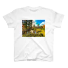 little CATSの風景 スタンダードTシャツ