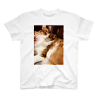 いぬたゃのねこ Regular Fit T-Shirt