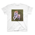 たの犬 スタンダードTシャツ