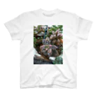 ミクロの雨の中の多肉植物 Regular Fit T-Shirt