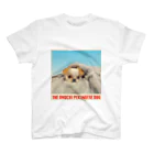 omochihuahuaのthe pekingese dog スタンダードTシャツ