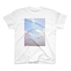 空屋　sorayakusakaの200705031110000　空 スタンダードTシャツ