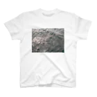 ハヤクモの海　0401　14:17 Regular Fit T-Shirt