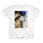 かペ＆うしお猫もふもふの雨汐ちゃん Regular Fit T-Shirt