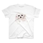 Momojiの犬画のマルチーズ3 Regular Fit T-Shirt